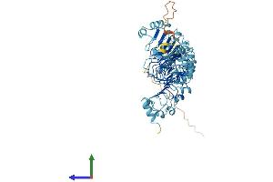 AlphaFold protein structure predicition of Human Recombinant LRRC40 Protein, UniprotID Q9H9A6