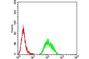 anti-APC Regulator of WNT Signaling Pathway 2 (APC2) (AA 2041-2181) antibody