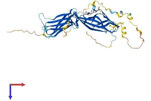 AlphaFold protein structure predicition of Human Recombinant ARRDC4 Protein, UniprotID Q8NCT1