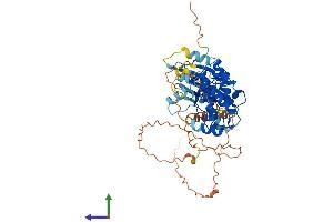 AlphaFold protein structure predicition of Human Recombinant CAMK1G Protein, UniprotID Q96NX5