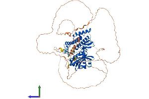 AlphaFold protein structure predicition of Mouse Recombinant Haspin Protein, UniprotID Q9Z0R0