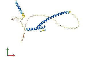 AlphaFold protein structure predicition of Human Recombinant MXD4 Protein, UniprotID Q14582
