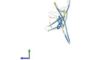AlphaFold protein structure predicition of Mouse Recombinant Erc1 Protein, UniprotID Q99MI1