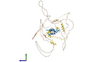 AlphaFold protein structure predicition of Mouse Recombinant Pja1 Protein, UniprotID O55176
