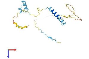 AlphaFold protein structure predicition of Mouse Recombinant Smap Protein, UniprotID Q9R0P4