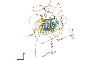 AlphaFold protein structure predicition of Human Recombinant MAGEC1 Protein, UniprotID O60732