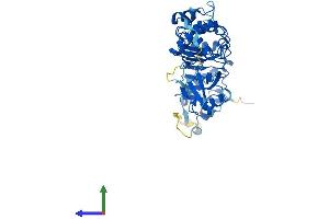 AlphaFold protein structure predicition of Human Recombinant TBCEL Protein, UniprotID Q5QJ74