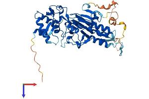 AlphaFold protein structure predicition of Mouse Recombinant Smad9 Protein, UniprotID Q9JIW5