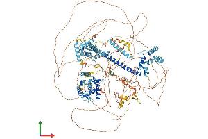 AlphaFold protein structure predicition of Human Recombinant NFRKB Protein, UniprotID Q6P4R8