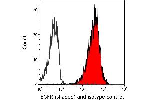 Flow Cytometry (FACS) image for anti-Epidermal Growth Factor Receptor (EGFR) (C-Term) antibody (ABIN7795642) (Recombinant EGFR anticorps  (C-Term))