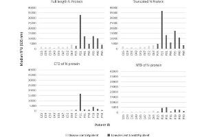 IgG responses to SARS-CoV-2 N protein variants. (Poulet anti-Humain IgG (Heavy & Light Chain) Anticorps (Biotin))