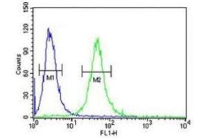 GATA2 antibody flow cytometric analysis of 293 cells (green) compared to a negative control (blue).