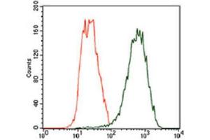 Flow Cytometry (FACS) image for anti-Tubulin, beta 2A (TUBB2A) (AA 25-187) antibody (ABIN1846607) (TUBB2A anticorps  (AA 25-187))