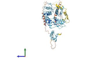 AlphaFold protein structure predicition of Human Recombinant ZNF675 Protein, UniprotID Q8TD23