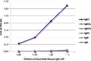 ELISA plate was coated with purified mouse IgG1, IgG2a, IgG2b, IgG3, IgM, and IgA. (Chèvre anti-Souris IgG1 Anticorps (Alkaline Phosphatase (AP)))