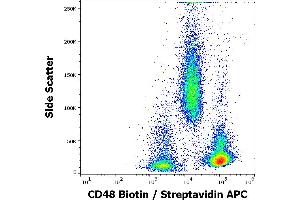 Flow cytometry surface staining pattern of human peripheral whole blood stained using anti-human CD48 (MEM-102) Biotin antibody (GAM APC, concentration in sample 1,7 μg/mL).
