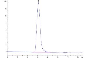 The purity of Human TGFBR1 is greater than 95 % as determined by SEC-HPLC.
