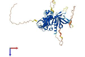 AlphaFold protein structure predicition of Mouse Recombinant Frmd8 Protein, UniprotID Q3UFK8