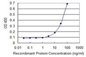 Detection limit for recombinant GST tagged SCNN1G is 1 ng/ml as a capture antibody.