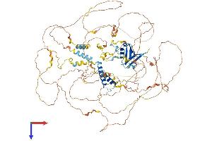 AlphaFold protein structure predicition of Mouse Recombinant Synpo2l Protein, UniprotID Q8BWB1