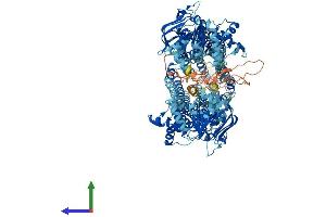 AlphaFold protein structure predicition of Human Recombinant ABCB11 Protein, UniprotID O95342
