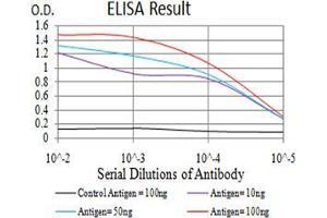 Black line: Control Antigen (100 ng);Purple line: Antigen (10ng); Blue line: Antigen (50 ng); Red line:Antigen (100 ng) (VP2 (AA 296-438) anticorps)