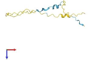 AlphaFold protein structure predicition of Mouse Recombinant Hmgn3 Protein, UniprotID Q9DCB1