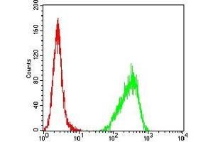 Flow cytometric analysis of Hela cells using CD147 mouse mAb (green) and negative control (red).