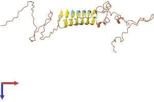 AlphaFold protein structure predicition of Human Recombinant KRTAP5-4 Protein, UniprotID Q6L8H1