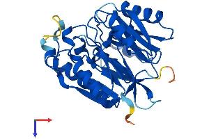 AlphaFold protein structure predicition of Mouse Recombinant Ddah2 Protein, UniprotID Q99LD8