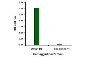 ELISA image for anti-Hemagglutinin antibody (Influenza A Virus H5N1) (ABIN1031719) (Hemagglutinin anticorps)