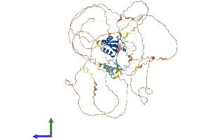 AlphaFold protein structure predicition of Human Recombinant FOXM1 Protein, UniprotID Q08050