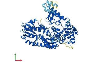 AlphaFold protein structure predicition of Human Recombinant STXBP2 Protein, UniprotID Q15833