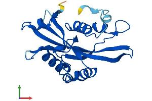 AlphaFold protein structure predicition of Mouse Recombinant Nudt16 Protein, UniprotID Q6P3D0