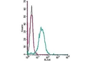 Cell surface detection of P2Y14 in live intact human THP-1 monocytic leukemia cells: (black line) Cells.