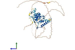 AlphaFold protein structure predicition of Mouse Recombinant Znhit6 Protein, UniprotID Q3UFB2