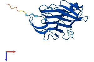 AlphaFold protein structure predicition of Mouse Recombinant Cfap20 Protein, UniprotID Q8BTU1