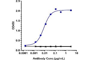 Immobilized human GPA33 / A33, Fc Tag at 2 μg/mL can bind ianalumab, EC50=0.