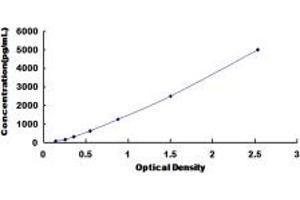 Typical standard curve (ADAMTS1 Kit ELISA)