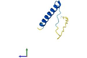 AlphaFold protein structure predicition of Mouse Recombinant Pcp4 Protein, UniprotID P63054