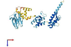 AlphaFold protein structure predicition of Human Recombinant MOAP1 Protein, UniprotID Q96BY2