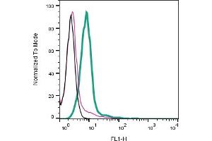 Cell surface detection of NPSR1 by indirect flow cytometry in live intact human  monocytic leukemia cell line: + goat-anti-rabbit-FITC. (NPSR1 anticorps  (Extracellular))