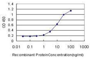 Detection limit for recombinant GST tagged ZBTB16 is approximately 1ng/ml as a capture antibody.