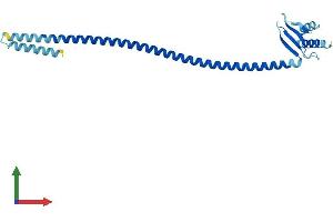 AlphaFold protein structure predicition of Human Recombinant SPC25 Protein, UniprotID Q9HBM1