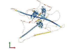 AlphaFold protein structure predicition of Mouse Recombinant Rpgrip1 Protein, UniprotID Q9EPQ2
