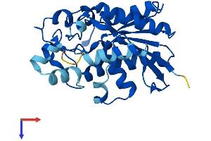 AlphaFold protein structure predicition of Human Recombinant PGAM2 Protein, UniprotID P15259