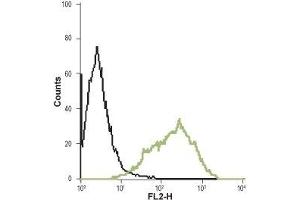 Cell surface detection of Prokineticin receptor 1 in live intact WEHI-231 (mouse B cell lymphoma) cell lines: (black line) Untstained cells + goat-anti-rabbit-Phycoerythrin (PE).