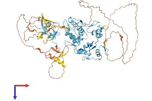 AlphaFold protein structure predicition of Human Recombinant ZNF408 Protein, UniprotID Q9H9D4