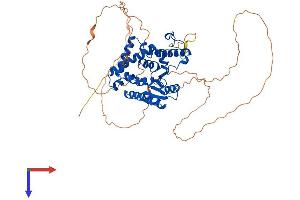 AlphaFold protein structure predicition of Mouse Recombinant Eya3 Protein, UniprotID P97480