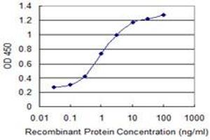 Detection limit for recombinant GST tagged SPA17 is 0.